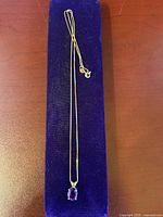 Pendant and chain displayed full length on velvet pad