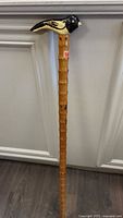 Full view of cane showing bird handle and bamboo shaft