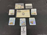 Lot overview displaying all coin items and pouches