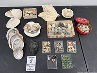 Overall layout of shells, rocks, marbles and containers