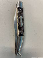 Knife closed showing handle and bail loop