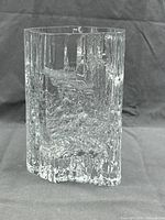 Front view of clear textured Pinus glass vase