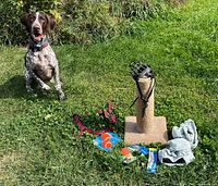 Full lot: diapers, harness, muzzle on scratching post, cat collar in package, three Chuckit! balls