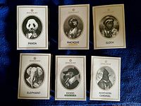 Six Zoologist perfume sample folios: Panda, Macaque, Sloth, Elephant, Dodo, Northern Cardinal
