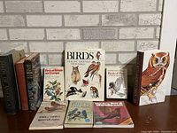 All books arranged upright and front-facing