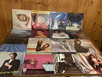 Overview of all 16 LPs laid out in three rows on wooden surface