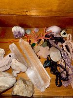 Full box view showing mixed raw stones, selenite wands, chip necklaces, coral branches