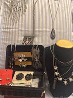 Group shot showing necklaces, case of earrings and display