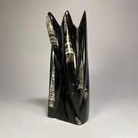 front view of multi-spire Orthoceras fossil tower