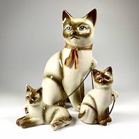 Front view of mother cat and two chained kittens