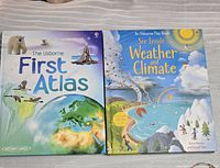 Front covers of both Usborne books