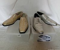 Both pairs of shoes on storage bins, full view