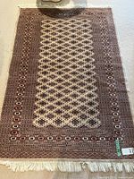 Full view of rug showing pattern and fringe