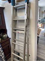 Full view of aluminum extension ladder leaning against wall