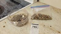 Plastic bowl of mixed coins beside resealable bag of coins