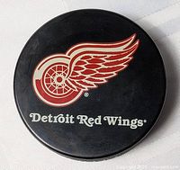 Front view showing Detroit Red Wings logo and text