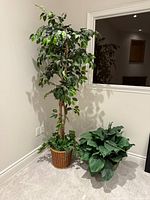 Tall artificial tree and smaller plant side by side