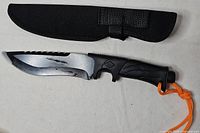 Knife with sheath overview