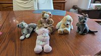 Group shot of all five Ty Beanie Babies