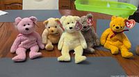 Front view of five Ty Beanie Baby bears lined on table