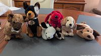 Group shot of all six Ty Beanie Baby dog plush toys