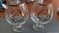 Two matching brandy glasses front view showing design and shape