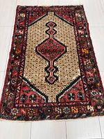 Full view of Hamadan rug showing design and dimensions