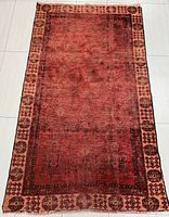 Full view of the rug showing overall colour, design and size