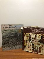 Both hardcover books standing upright showing front covers