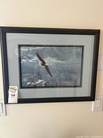 Framed eagle print hanging on wall