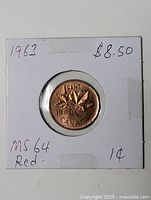 Entire coin in labeled 2×2 holder showing year and grade