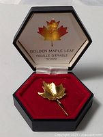 Stick pin in open display box showing branding inside lid