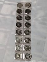 Full view of 9-inch plastic strip containing 20 coins