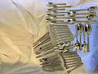 Full view of all flatware laid out, showing quantity and variety