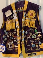 Full view of purple and gold Lions Club vest covered with pins