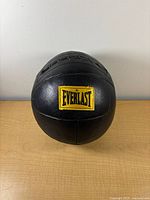 Front view showing Everlast logo and leather surface