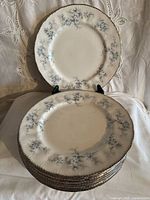 Stack of ten Paragon Flowers Blue dinner plates front view