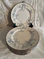 Stack of 10 blue floral Paragon plates showing fronts and rims