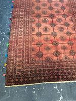 Full corner of rug showing field pattern, border, tassels