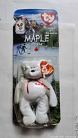 Front view of sealed Ty Maple the Bear in blister packaging