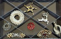 Tray showing eight brooches arranged in compartments