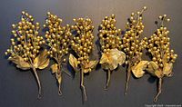 Six gold berry sprays laid side by side showing overall appearance
