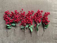 All 6 red berry sprays laid out side by side