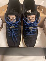 Top view of both sneakers in box showing laces, tongue labels, inserts