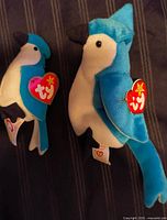 Both Ty Rocket the Blue Jay plush toys showing swing tags