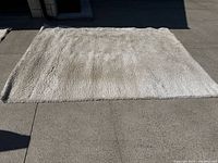 Full view of one shag rug laid flat, showing color and pile