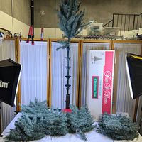 All tree sections assembled on floor with stand, box visible