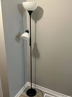 Full view of black dual-head floor lamp