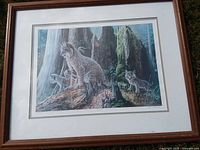 Framed wildlife numbered print showing lynx family, mat and wooden frame visible