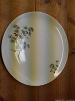 Top view of round white platter with painted pine branch and red berries